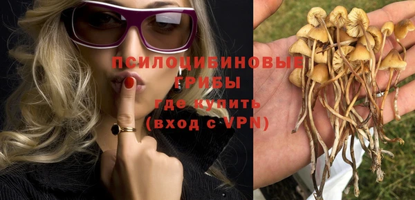 spice Алзамай